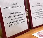 Астраханские депутаты проголосовали за подкорректированный бюджет, который все равно  остался социально ориентированным