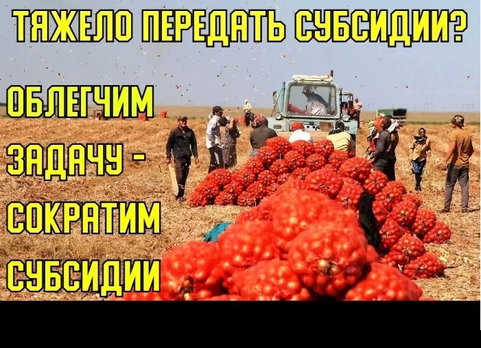 Аграрный «срез»: Минсельхоз России грозится срезать Астраханской области господдержку аграриев