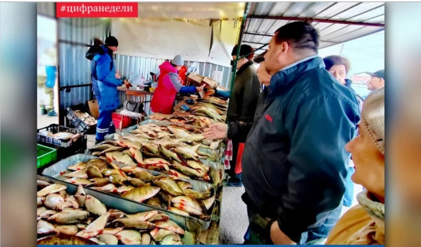 На ярмарке в Астрахани за несколько часов продали более 28 тонн рыбы