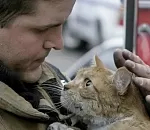 Видео недели: магаданские пожарные реанимировали двух котов, спасенных из огня