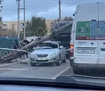 В Астрахани на проезжающую машину рухнуло дерево