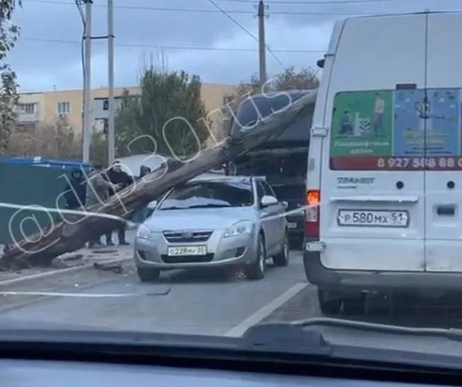 В Астрахани на проезжающую машину рухнуло дерево