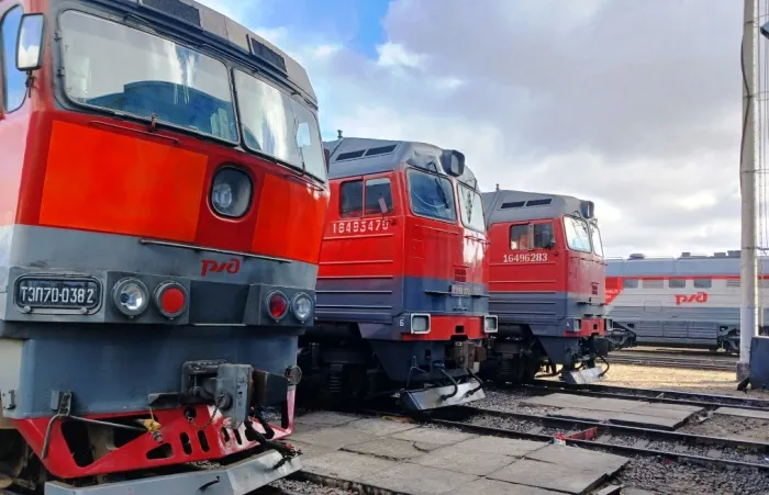 С начала года в Астраханской области машинисты поездов 70 раз экстренно тормозили