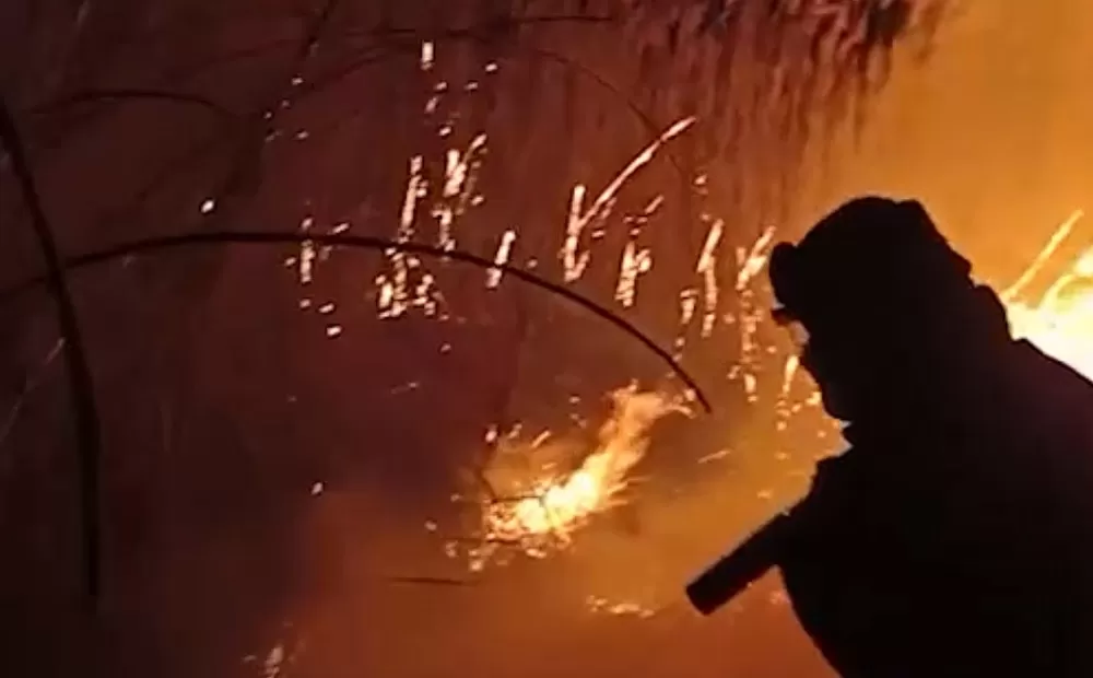Пожар в Астраханском заповеднике поставил под угрозу нерест