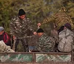 В Астрахани пройдёт совещание по вопросам борьбы с браконьерством в Волжско-Каспийском бассейне 