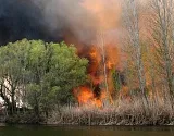 В Астраханском заповеднике ЧП – крупный пожар