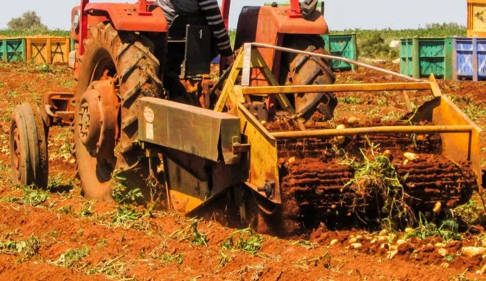 На астраханского фермера завели уголовное дело из-за смерти работника на картофельном поле