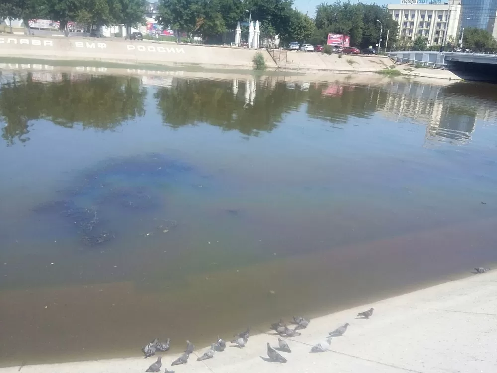 Фото дня: радужные воды Волги