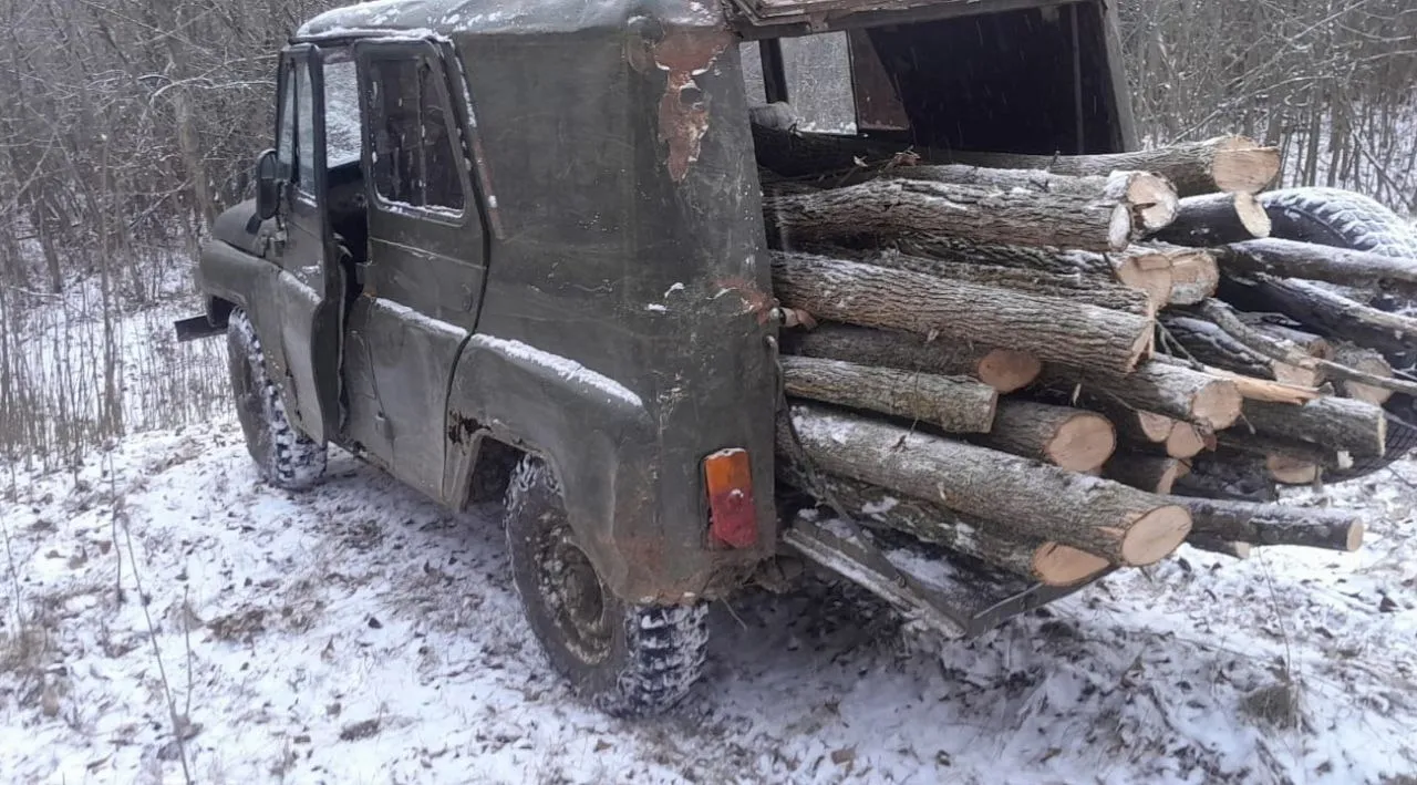 Черного лесоруба с поличным поймали в Астраханской области 