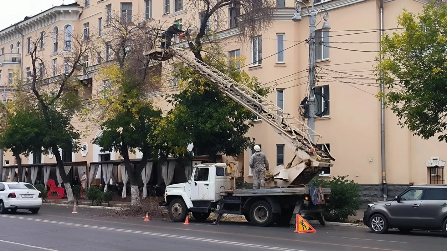 Перед сезоном ветров Астрахань усиленно избавляют от сухих веток и деревьев