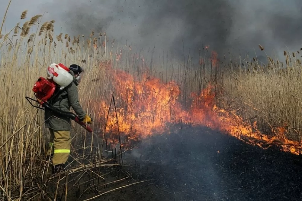21 видеокамера будет следить за ландшафтными пожарами в Астраханской области