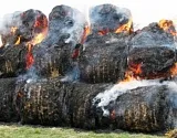 В астраханском селе  дельтовой зоны Волги умышленно сожгли 30 рулонов сена