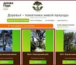 Черноярский дуб - в номинации: астраханцы могут поддержать «земляка» в конкурсе «Российское дерево года»