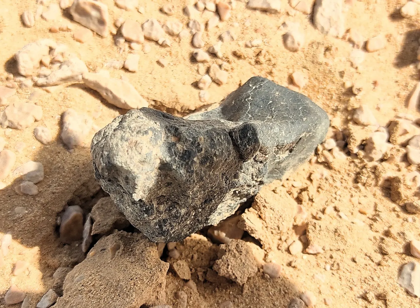Астраханцы смогут подержать в руках найденный в Сахаре редкий метеорит