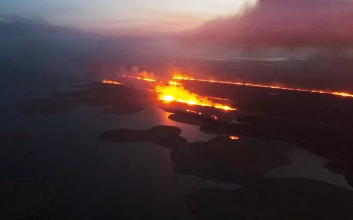В Астраханском госзаповеднике пожар спалил огненным фронтом почти 4 000 гектаров  