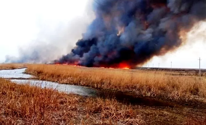 В Наримановском районе за последние дни трижды горела степь