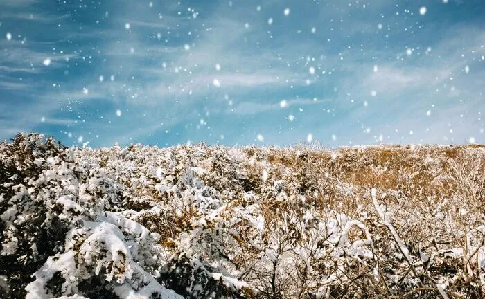 Почему во время снегопада температура воздуха повышается. Изменения в природе зимой. Снежный занос обж. Почему во время снегопада температура воздуха повышается. Почему во время снегопада температура воздуха повышается.