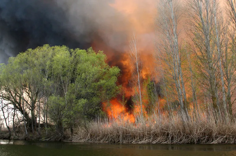 В Астраханском заповеднике ЧП – крупный пожар